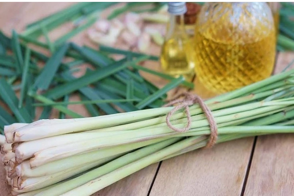 Chỉ 1 nắm sả 5 nghìn đồng bạn sẽ thấy cực kỳ diệu, điều thứ 2 mọi phụ nữ đều cần-2