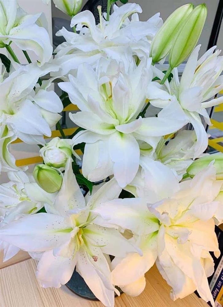 Loại hoa ly siêu đắt đỏ, chị em Hà thành ráo riết lùng mua-1