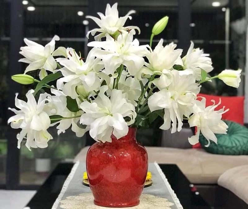 Loại hoa ly siêu đắt đỏ, chị em Hà thành ráo riết lùng mua-3