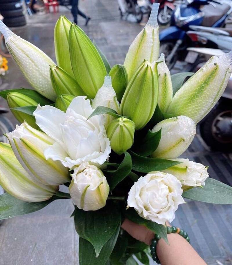 Loại hoa ly siêu đắt đỏ, chị em Hà thành ráo riết lùng mua-4