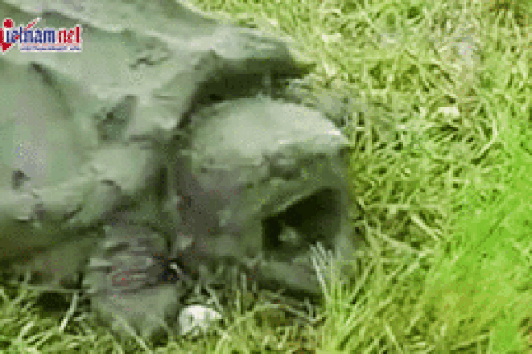 Xem cáo fennec trổ tài săn răn độc trên sa mạc cát-1