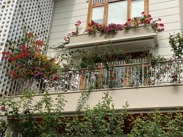 Biệt thự của Quý Bình và bà xã doanh nhân: Hoa phủ kín lối đi, mảnh vườn lớn là ao ước của nhiều người-3