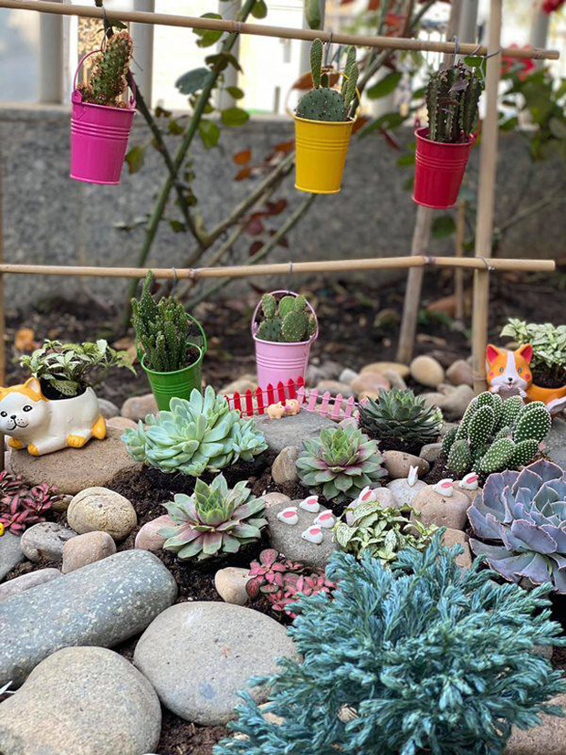 Biệt thự của Quý Bình và bà xã doanh nhân: Hoa phủ kín lối đi, mảnh vườn lớn là ao ước của nhiều người-12