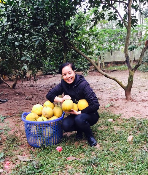 Thăm khu vườn cây trái rộng bạt ngàn của NSƯT Chiều Xuân-9