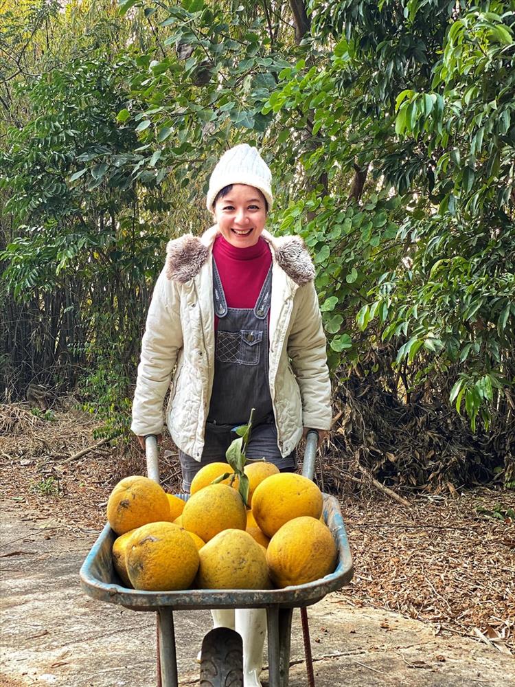 Thăm khu vườn cây trái rộng bạt ngàn của NSƯT Chiều Xuân-10