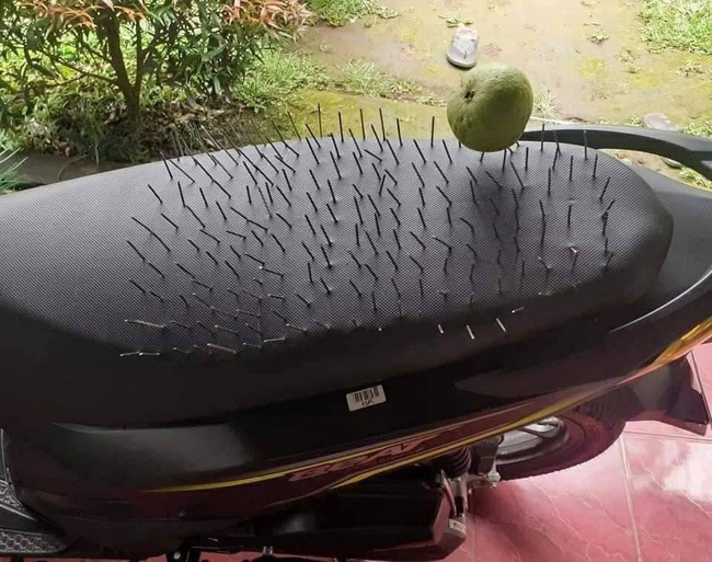Phòng tránh tiểu tam cực mạnh, cô vợ hay ghen cắm đinh nhọn lởm chởm trên yên xe máy của chồng khiến ai nấy nổi da gà-2