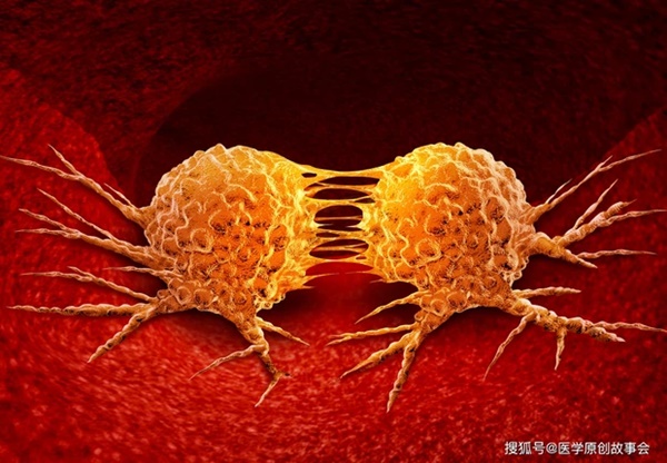 6 thói quen trong cuộc sống cho thấy bạn có cơ thể miễn nhiễm với ung thư-1