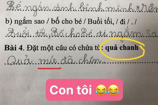 Cậu nhóc lớp 1 trả lời thẳng tưng 