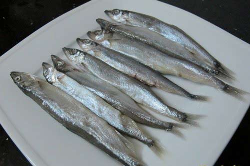 Nếu gặp loại cá này đừng ngần ngại hay mặc cả, trẻ em ăn vào sẽ phát triển trí thông minh vượt trội-1