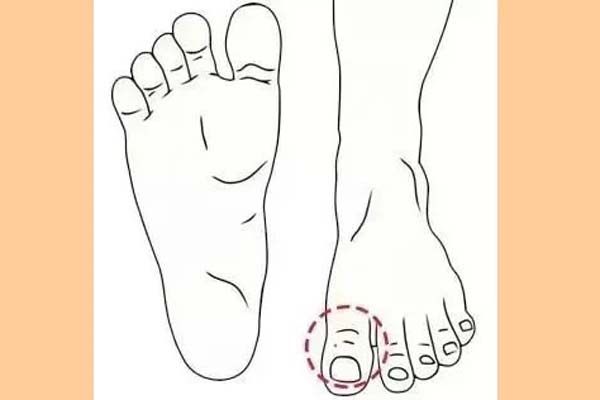 5 nét tướng vượng tài đắc lộc, ăn tiêu cả đời không hết của, sinh ra mặc định trên đỉnh giàu sang-2