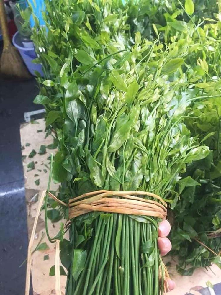 Món rau lạ trên rừng về Hà Nội, 200 nghìn/kg vẫn ‘cháy hàng’-2