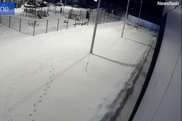 Clip: Cậu bé thay đổi cảm xúc cực yêu khi người nhà tới đón-1