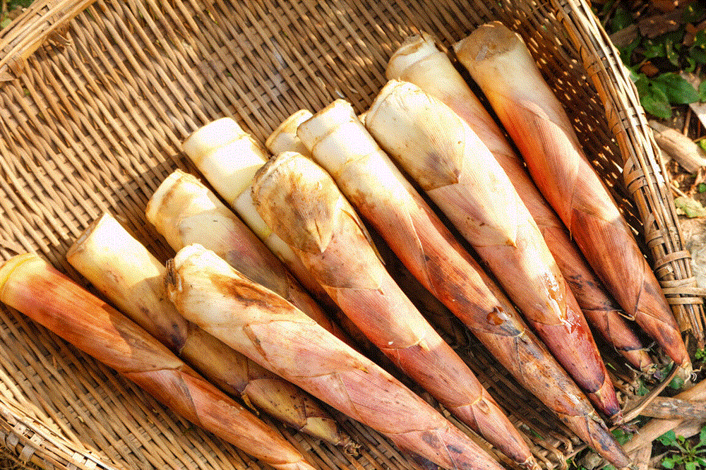 Khi mua măng nên chọn loại măng dày hay dài? Đừng nhầm lẫn giữa 2 loại nếu không sẽ rất lãng phí tiền-2