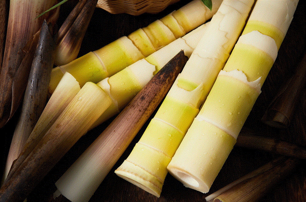 Khi mua măng nên chọn loại măng dày hay dài? Đừng nhầm lẫn giữa 2 loại nếu không sẽ rất lãng phí tiền-4