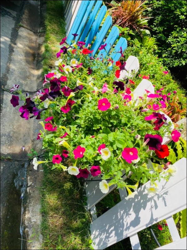 Biệt thự triệu đô của Vy Oanh và chồng đại gia hoa tươi nở bốn mùa, cây trái sai trĩu quả-11