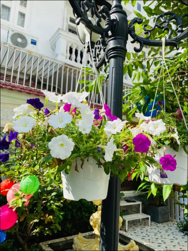 Biệt thự triệu đô của Vy Oanh và chồng đại gia hoa tươi nở bốn mùa, cây trái sai trĩu quả-16