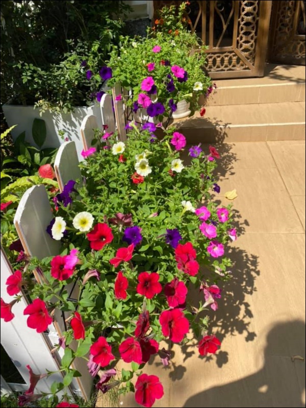 Biệt thự triệu đô của Vy Oanh và chồng đại gia hoa tươi nở bốn mùa, cây trái sai trĩu quả-13