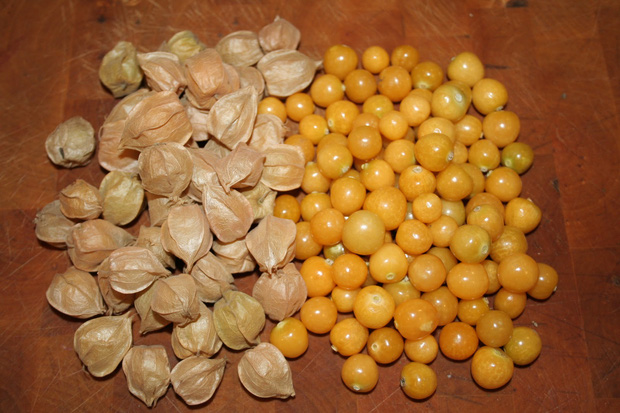 Một loại quả mọc dại đầy đồng quê Việt Nam bỗng gây sốt, giá bán tới 400k/kg-2