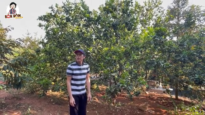 Hoài Linh khoe mảnh rẫy nghìn m2, răn dạy người trẻ: Chỉ lo đú đởn ăn chơi là khổ cha mẹ lắm-1