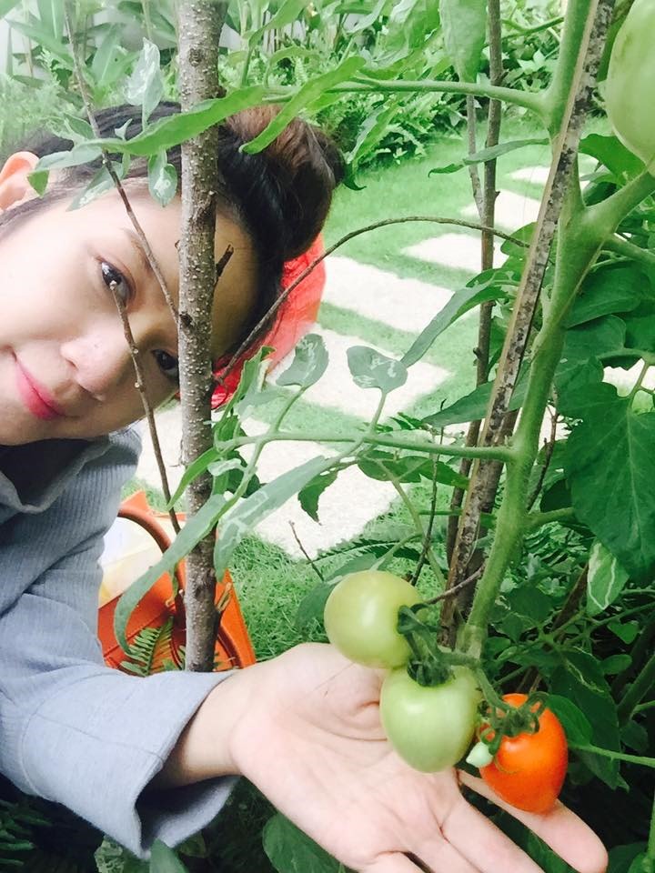 Thăm trọn khu vườn như hệ sinh thái trong biệt thự của Lý Hải - Minh Hà-7