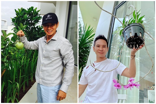 Độc đáo 3 vườn rau sạch trên sân thượng biệt thự của sao Việt-9