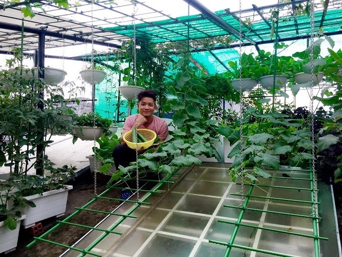 Độc đáo 3 vườn rau sạch trên sân thượng biệt thự của sao Việt-3
