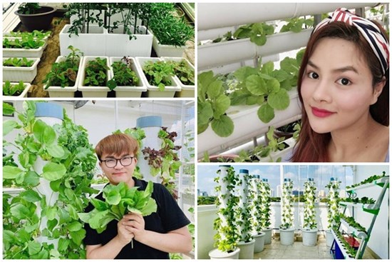 Độc đáo 3 vườn rau sạch trên sân thượng biệt thự của sao Việt