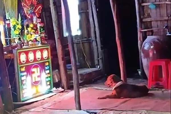 Cháy nhà ở Sài Gòn khiến 6 người trong gia đình tử vong, người thân khóc ngất tại hiện trường-17