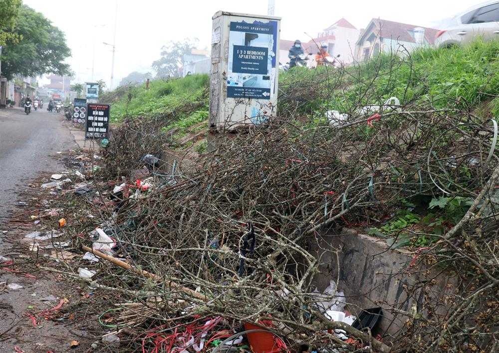 Ế ẩm chưa từng thấy, tiểu thương ngậm ngùi vứt bỏ hoa lê trắng thành đống chờ đốt bỏ-6