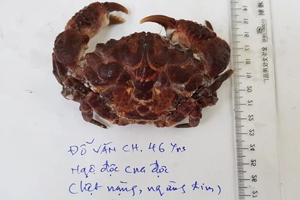 Xác định loài cua có chất độc nguy hiểm tại Việt Nam-2