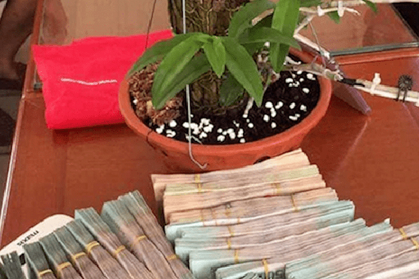 Bán nhà, vay nợ để lướt sóng lan đột biến-3