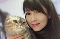 Cuộc sống hiện tại của 'Ngọc nữ số 1 Hong Kong' thà nuôi mèo chứ không sinh con cho chồng đào hoa