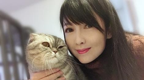 Cuộc sống hiện tại của Ngọc nữ số 1 Hong Kong thà nuôi mèo chứ không sinh con cho chồng đào hoa-4