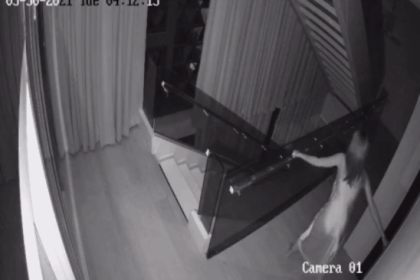 Vũ Khắc Tiệp tung clip CCTV đêm Ngọc Trinh bị mất cắp: Giả vờ ngủ đến lúc trộm sang phòng túi mới chạy vội la hét-2