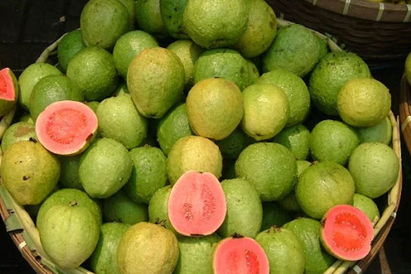 Cùng là đu đủ, đu đủ vàng và đu đủ xanh có gì khác nhau? Đừng mua nhầm sau khi bạn biết những điều này-6