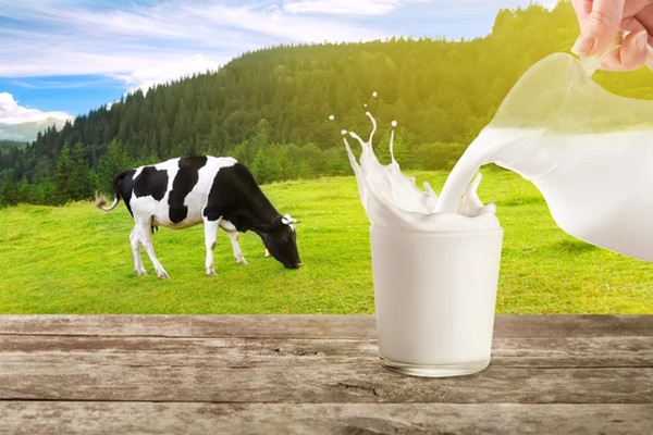 Vì sao không nên pha cà phê với sữa đặc, đường trắng? Top 5 nguyên liệu pha cà phê hại sức khỏe nhất-6