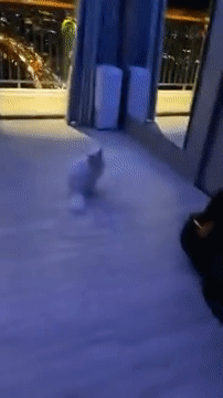 Soi phòng ngủ tự động toàn tập nhà Trấn Thành, xịn xò thế nào mà chính chủ phải tâm đắc gọi hẳn là triệu đô?-8