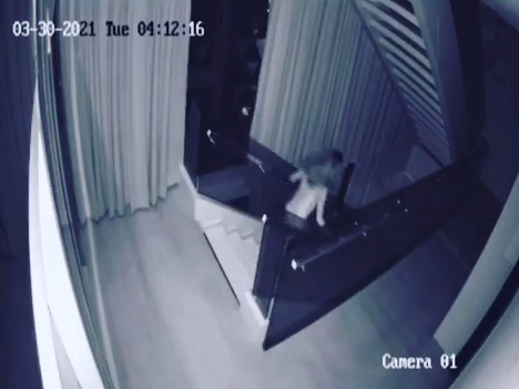 Sau khi bị cuỗm mất hơn 15 tỉ đồng, Ngọc Trinh thuê thêm bảo vệ, chuyển tài sản quý giá đến nơi khác-5