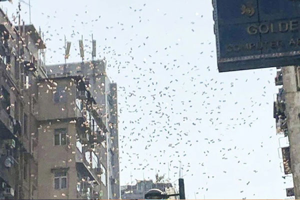 Người đàn ông gây náo loạn cả khu phố khi ném sấp tiền gần 19 triệu VNĐ qua cửa sổ-1