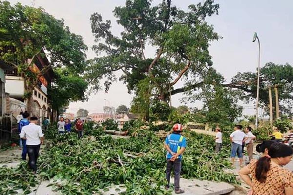 Bên trong phòng bệnh được cải tạo thành động bay lắc” ở Bệnh viện Tâm thần TW I: Có cả bộ sừng tê giác, dàn loa lớn và đèn laze-7