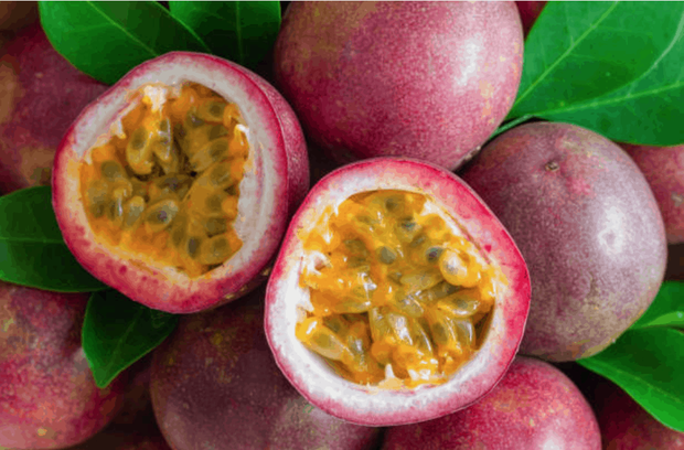 3 loại quả ở Việt Nam mọc dại đầy đường, sang nước ngoài thành của ngon vật lạ bán 1 triệu/kg-5