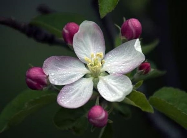 Tháng 4, 4 con giáp gặp may mắn, quý nhân chỉ đường, chuyện vui liên tiếp xảy ra, cuộc sống suôn sẻ-2