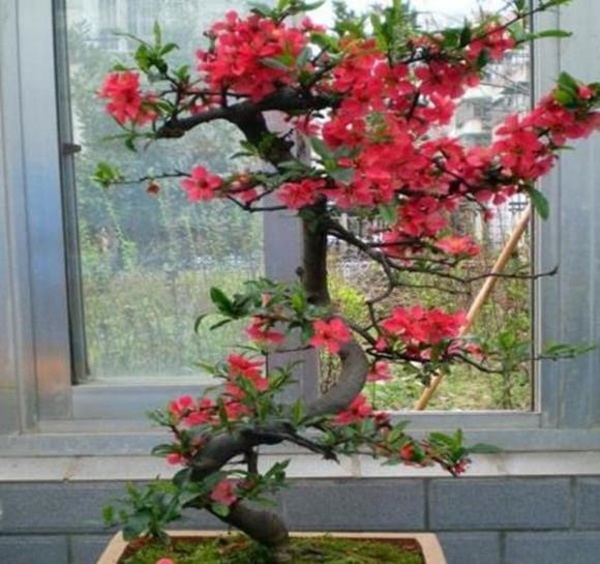 Tháng 4, 4 con giáp gặp may mắn, quý nhân chỉ đường, chuyện vui liên tiếp xảy ra, cuộc sống suôn sẻ-3