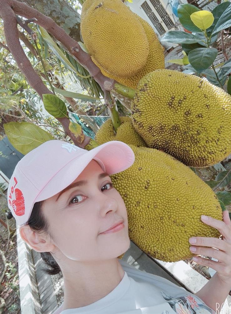 Cùng Việt Trinh thu hoạch quả, rau trong vườn rộng 2.500m2 của nữ diễn viên-2