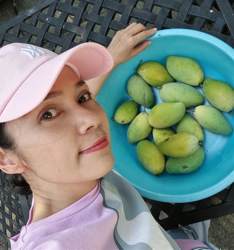 Cùng Việt Trinh thu hoạch quả, rau trong vườn rộng 2.500m2 của nữ diễn viên-14