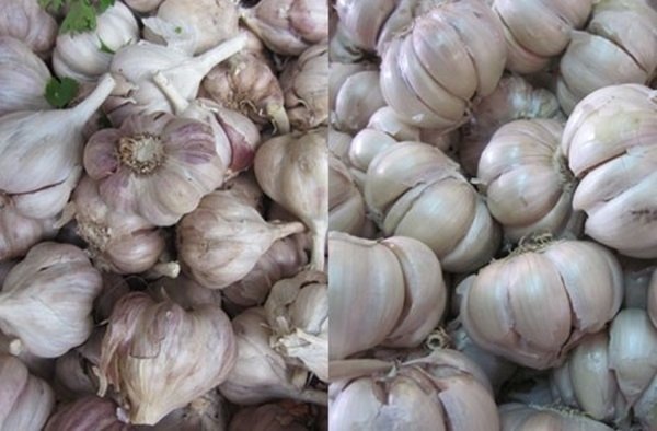 Người bán rau củ không bao hé răng cho bạn biết: 3 giây để phân biệt hàng Việt Nam - Trung Quốc-1
