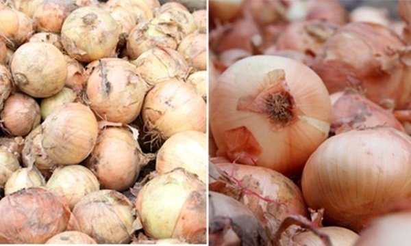 Người bán rau củ không bao hé răng cho bạn biết: 3 giây để phân biệt hàng Việt Nam - Trung Quốc-5