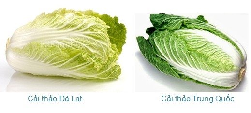 Người bán rau củ không bao hé răng cho bạn biết: 3 giây để phân biệt hàng Việt Nam - Trung Quốc-8