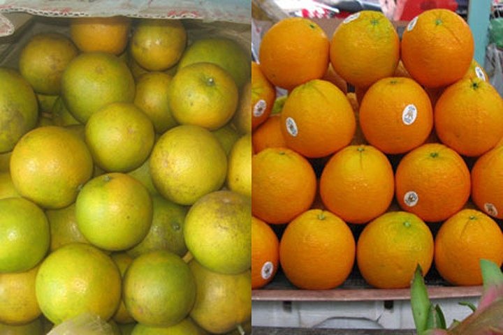Người bán rau củ không bao hé răng cho bạn biết: 3 giây để phân biệt hàng Việt Nam - Trung Quốc-12