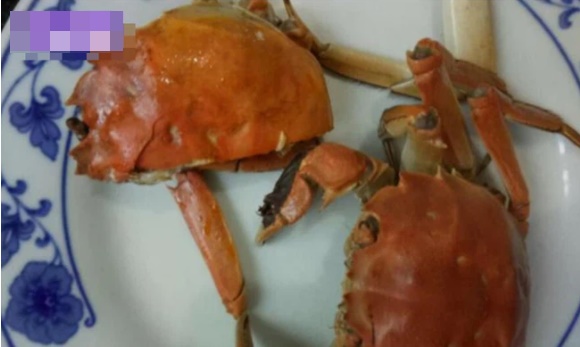 Bà mẹ mua 6 con cua về cho cả nhà ăn, hành động sau đó khiến dư luận bức xúc: Quá thiên vị-1